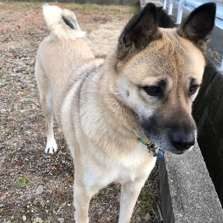 C7620072 6b89 47b2 992d 38652ac112c0 1610799945032