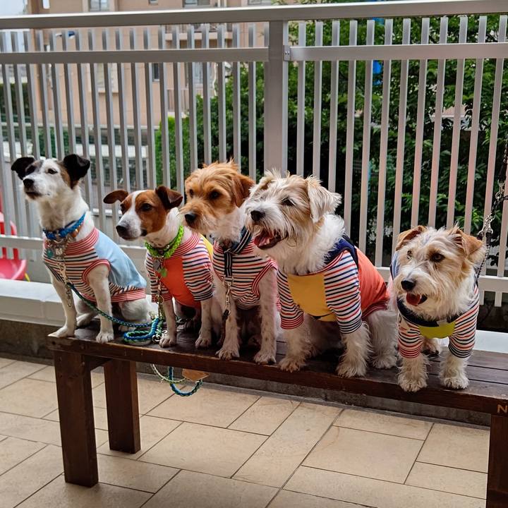 C7623315 0426 40f5 8d8f f1c894c24209 1624356128279