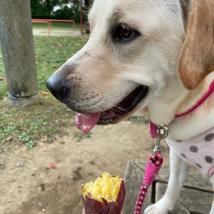 C7623394 9938 4a68 8d5e f4e155eb7ba6 1634875373880