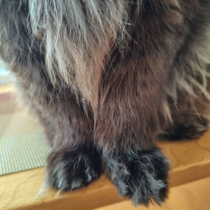 C76235d1 15d6 42e7 a942 524548848556 1740182593281