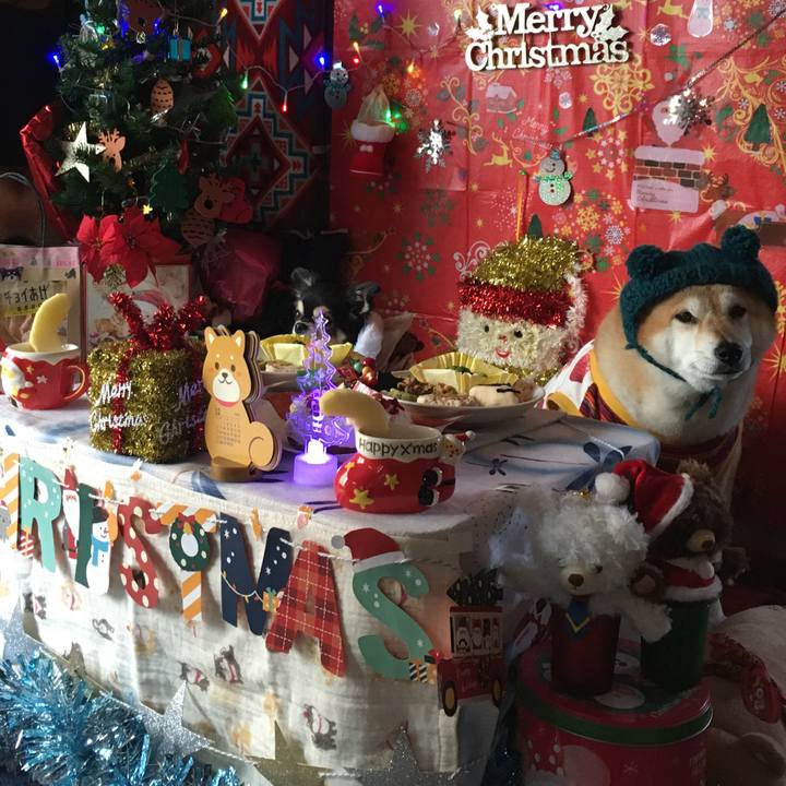 C76249d6 927b 43f6 9f79 34d879b091d1 1608856122613