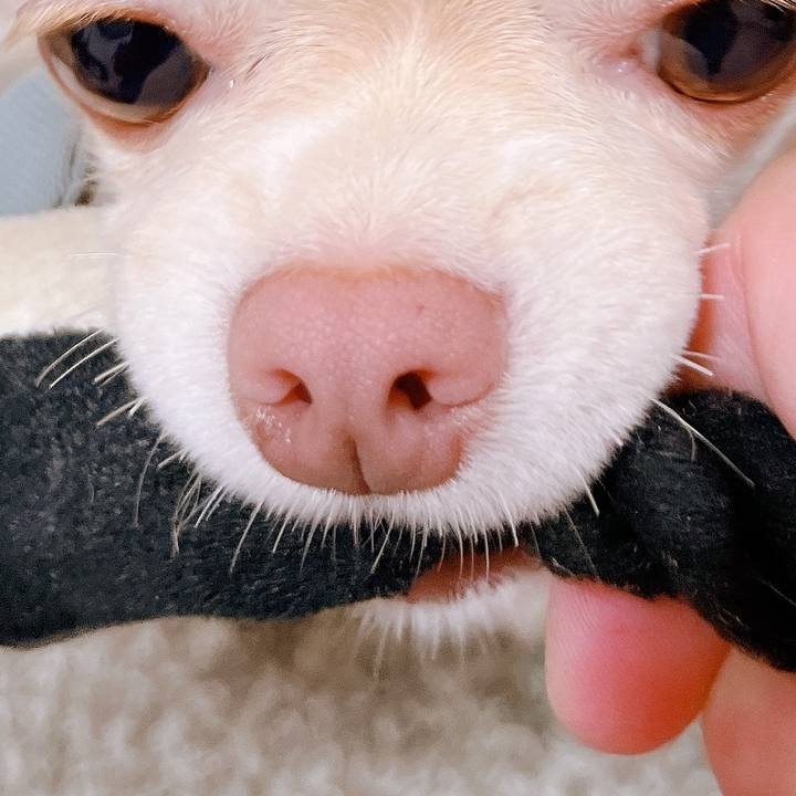 C7624b37 10f4 48fb be90 072cd6c0de16 1660302190244