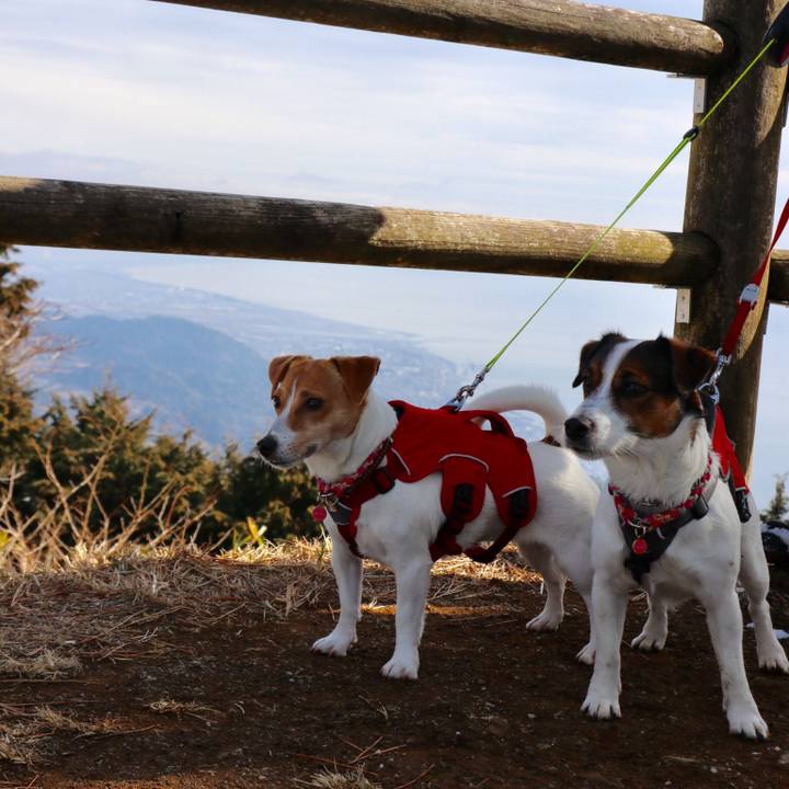 C7624be2 6806 47d0 9d9a 6bfc23c86340 1517634514955