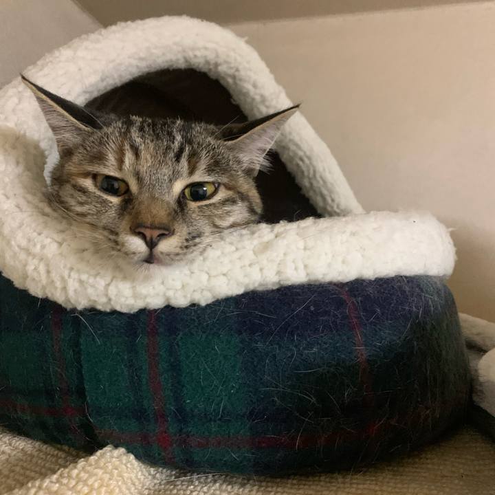 C762c8be cf92 4e27 9f1e b256484f92d1 1606042107262