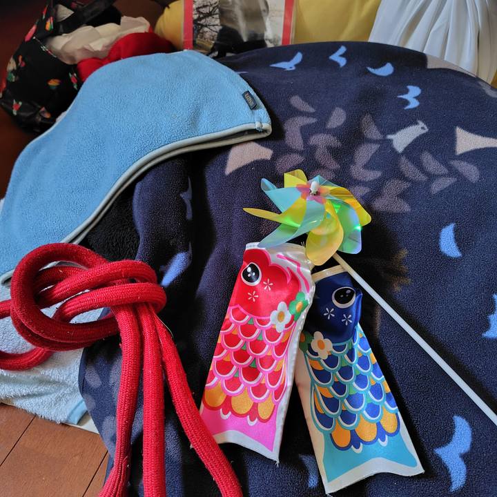 C762cd39 2e91 43ad a5ae ed510cbbfd29 1745204616071