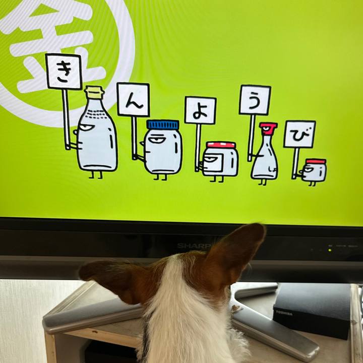 C762e032 c00d 4988 8719 c32c4773dab3 1759443657353