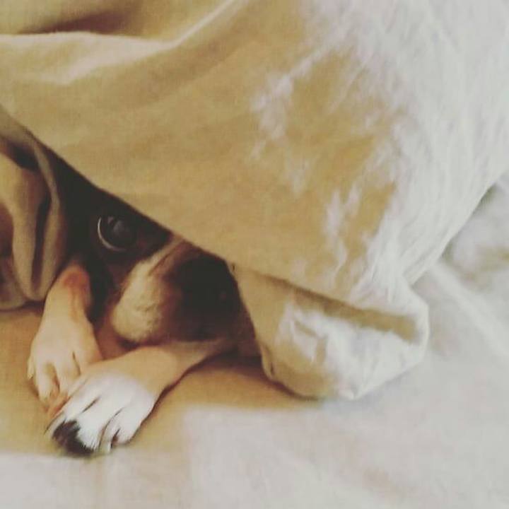 C7633d20 8208 4db2 a277 460eb489b6cd 1539446734526