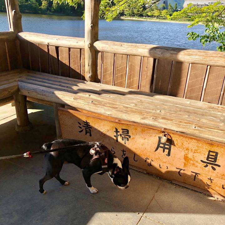 C7633e08 59fd 4d58 97d2 bd09760e498a 1534503716798