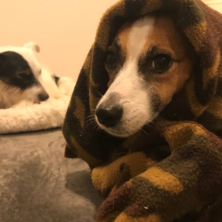 C7633f74 95b0 4877 9184 9c997e30348c 1508055261707