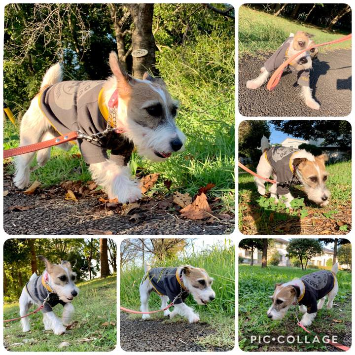 C7634978 7930 4745 af4e a5d689d39332 1603183176858