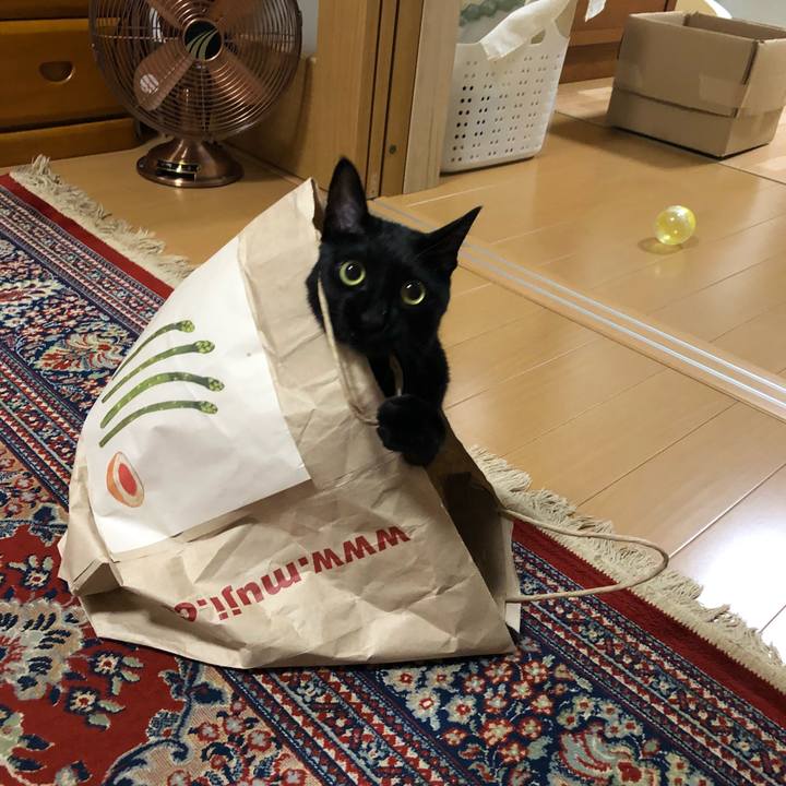 C7639dad e4f5 4e84 b61c 48cae70354a6 1535089762041