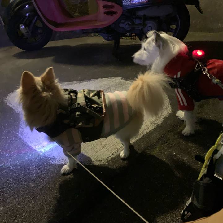 C763c780 56ad 46ac acbd df719619322c 1704283513963