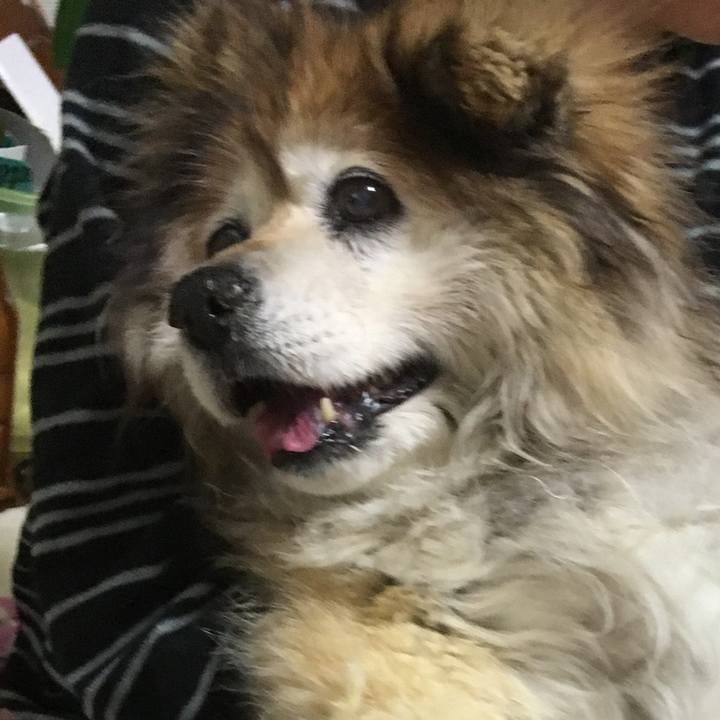 C763e373 f1e8 470d b3b9 bb3e925807e8 1615266016809