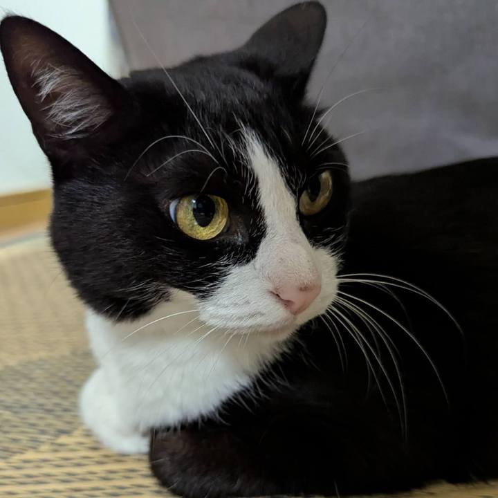 C7640318 6eaa 45f1 96a3 b7e8e02b81fc 1752196808264