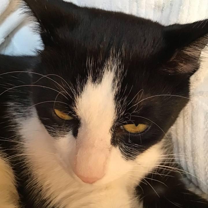 C76418d2 cdf4 4389 a498 625f34e0c345 1667560465970