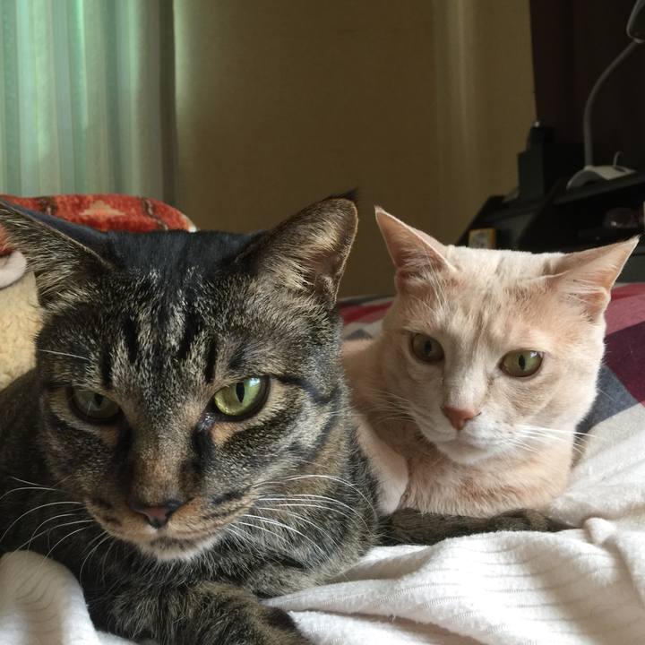 C7641950 bc57 4965 bfe8 25b3157d0f58 1520384653756