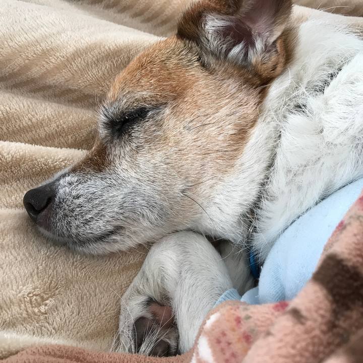 C76420ce db9b 417b 911d c4d245c5328d 1609057005532