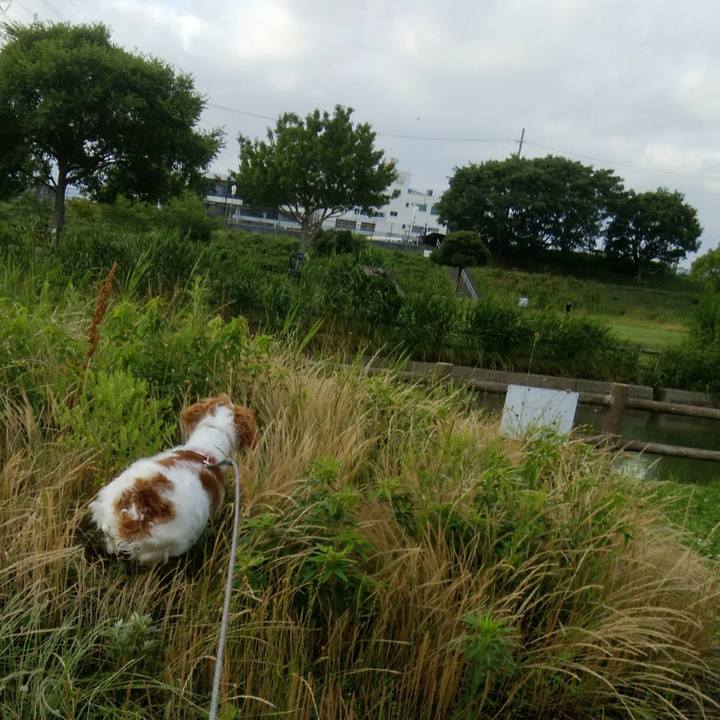 C76434f9 3c0e 49db 9f84 60332bce704a 1559994059116