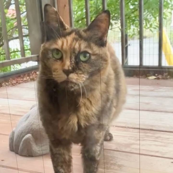 C7645331 91cb 45a7 a659 7d9bd0177af2 1743335675081