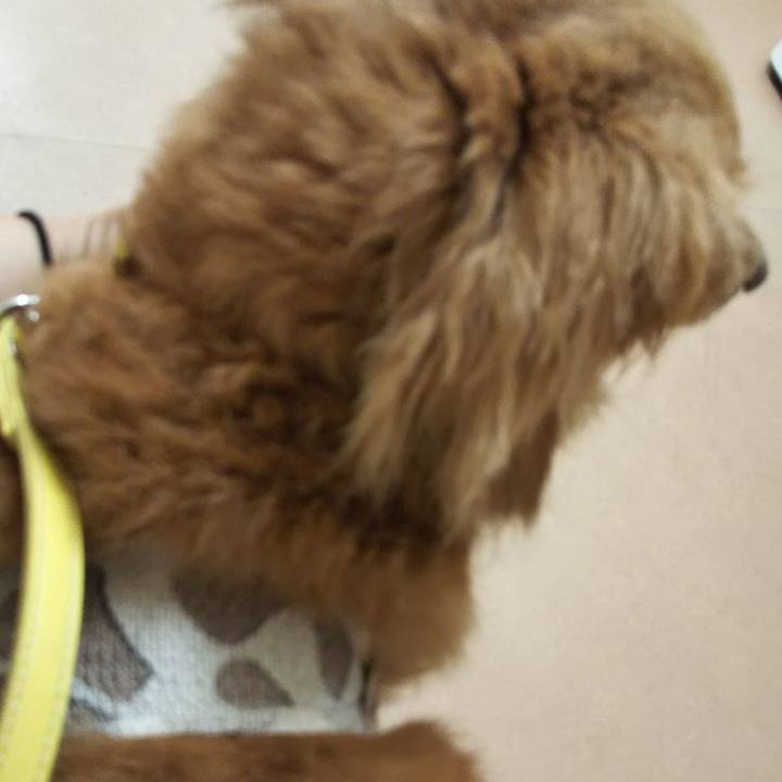 C764533e 13a9 4207 96d4 78b2a3a28bb1 1591955875647