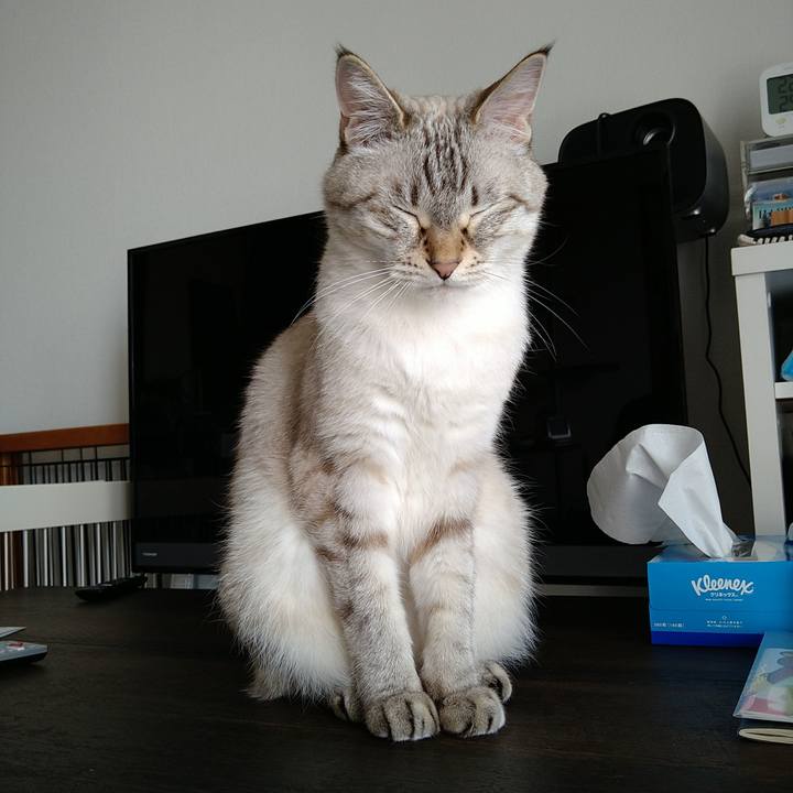 C76465ad b858 4d8c b878 3df43d4beb60 1697256114941