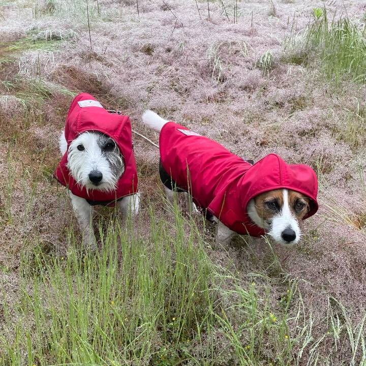 C7649549 45f5 487c a4b5 d2efa7538f86 1748736329966