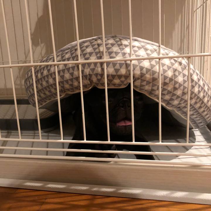 C764b089 cc43 49c0 86bd 930faa924340 1592269476738