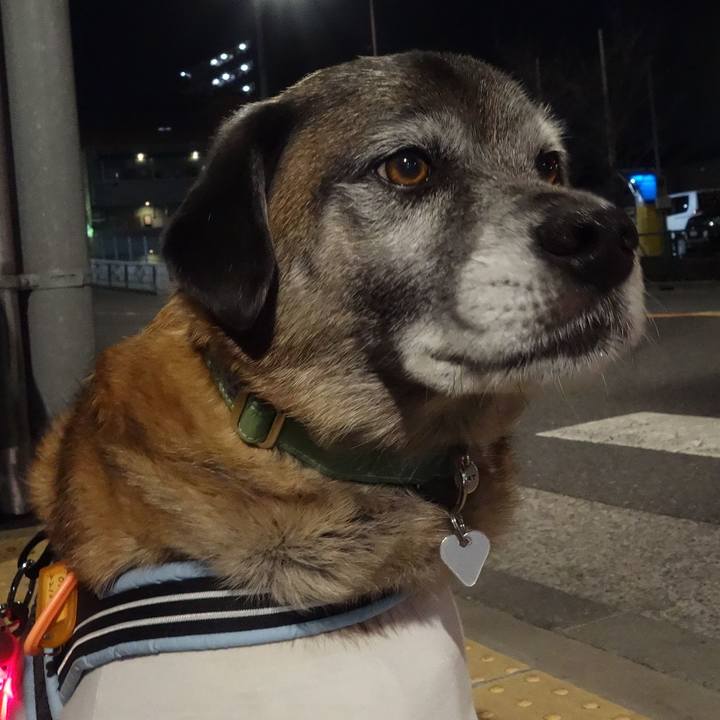 C764b7e1 dc9d 4bbd bb39 b0e3e95e26c0 1627690167845