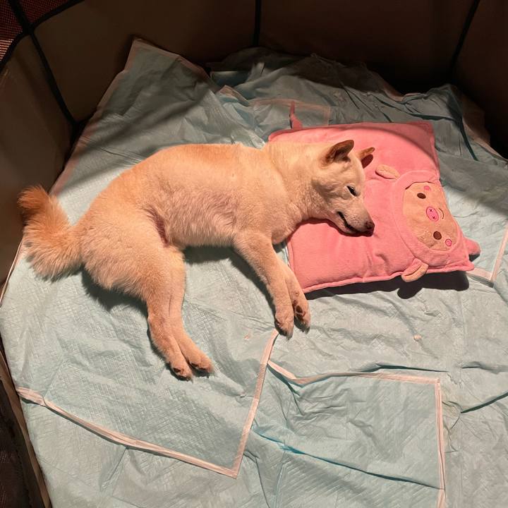 C764de9f 3aca 4aad 96fa 512ceecd2006 1652020843635