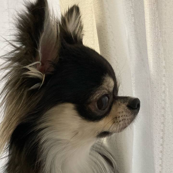 C76513aa ed09 42d1 ac6e 83f5b2d6df98 1615587912099