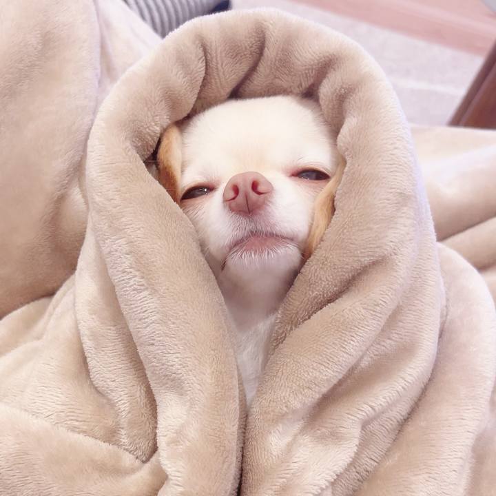 C7652877 e595 4e39 98d3 22bccdb2abdc 1689423632831