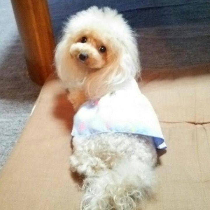 C765380f 32bf 4561 89c1 2de79947b6e0 1536709759611