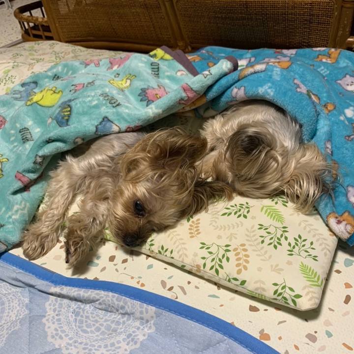 C765488b 6866 4f1b 889c 2effe581ea66 1665482009640