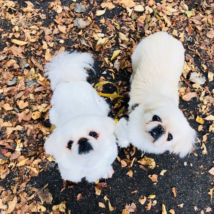 C7655e5e 83a0 4548 b338 3617996a103e 1604317586696