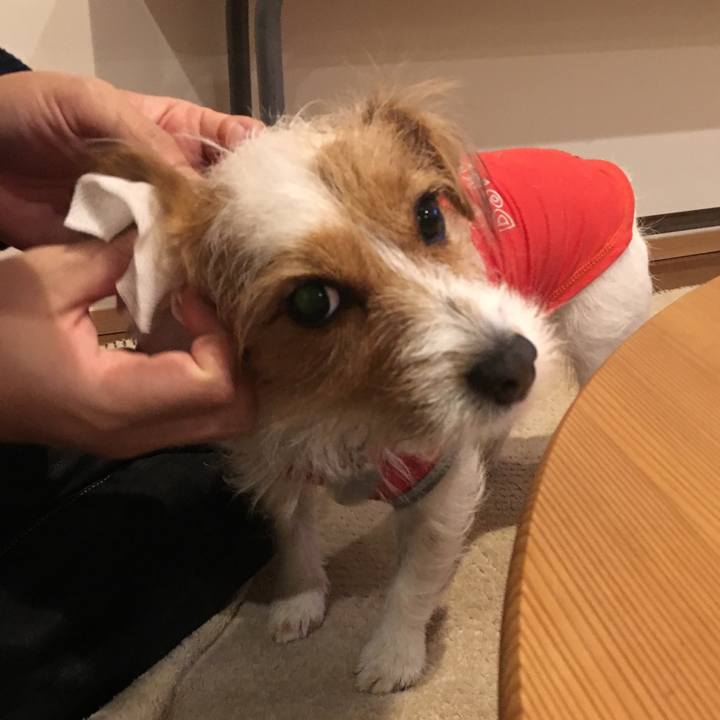 C7657058 01cb 41bb ae82 624c4ece0eac 1513345402950