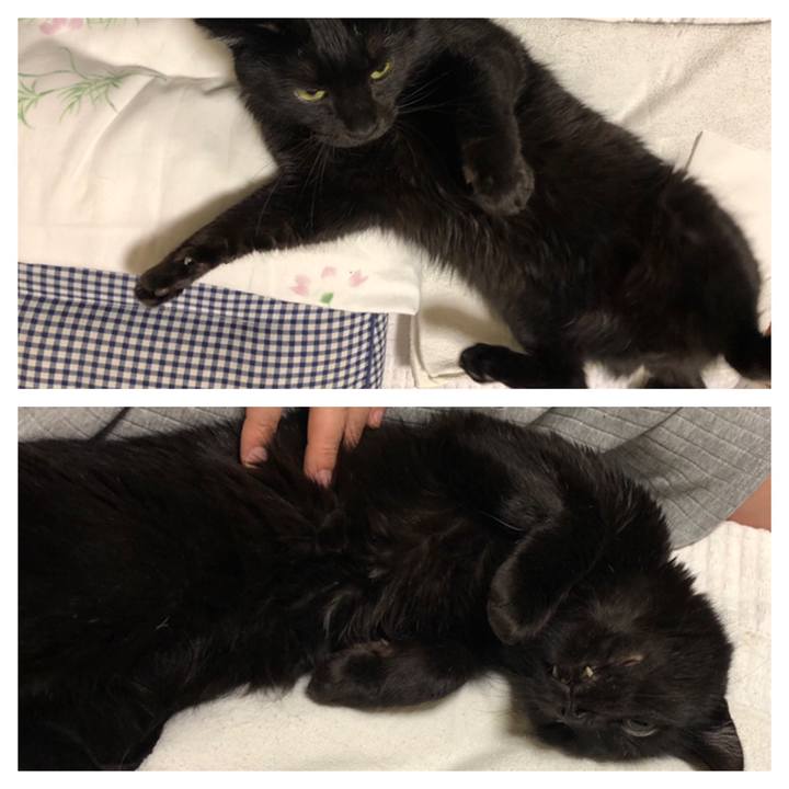 C76577fa 45be 4b88 af7e 781f7dd76811 1574417928144