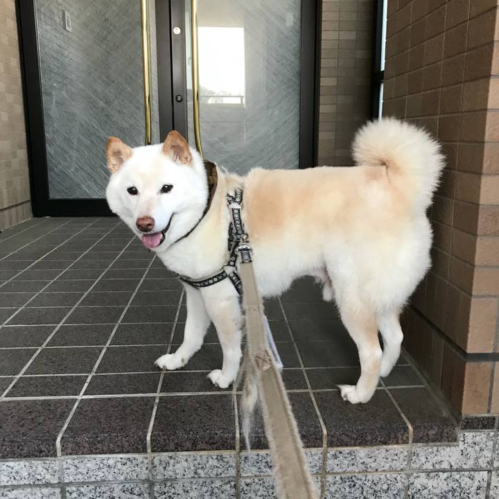 C7657d61 99bf 4252 b70f 6220d06b5b96 1639320671965