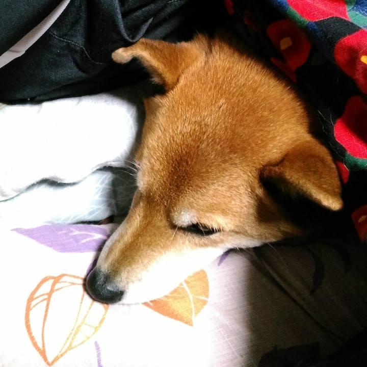 C7658796 14a2 47a8 8425 cef48406ea4d 1543577633525