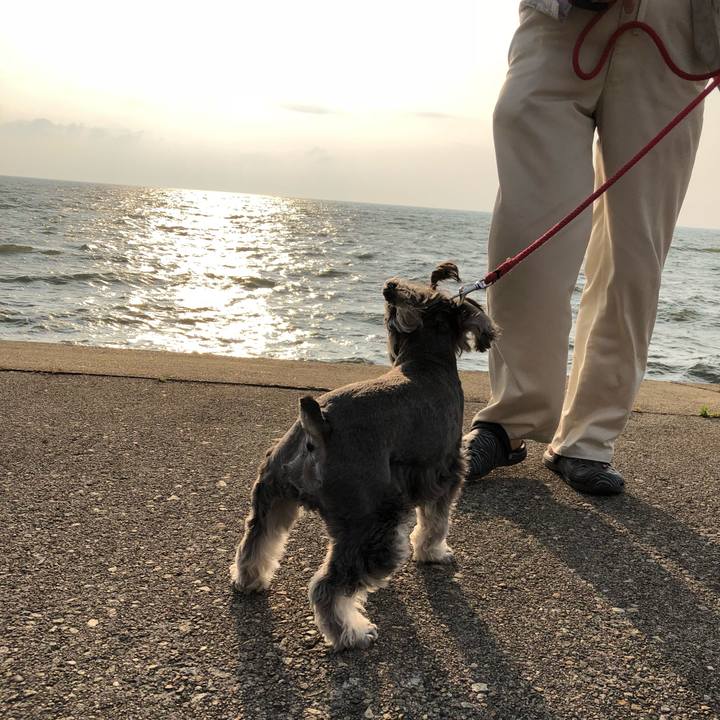 C7658ffe c666 4172 b6c3 46048a8e5adf 1529572364730