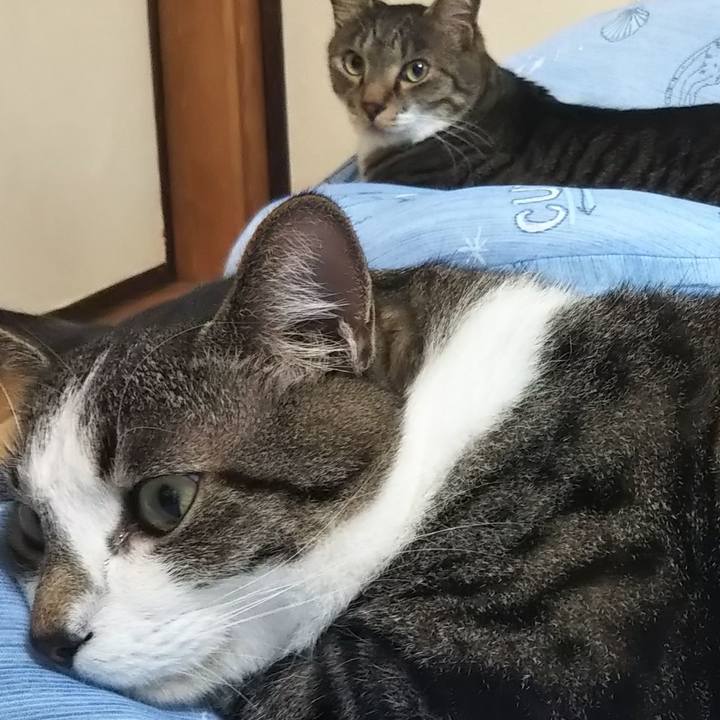 C76594af 121c 4717 b178 5ab4c7ffad86 1613291901540