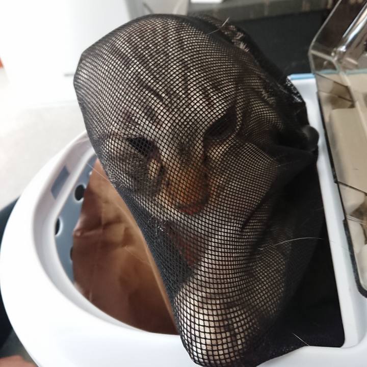 C765b090 9292 45d1 bc4f f6751e518c65 1540016796856