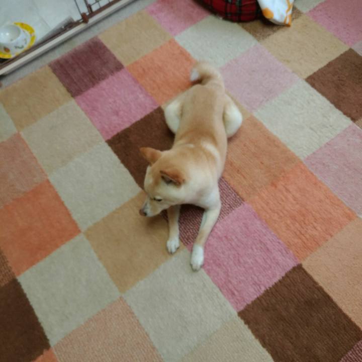 C765ddd4 3faa 4f25 902c 7e4ce3008cd2 1517891386372