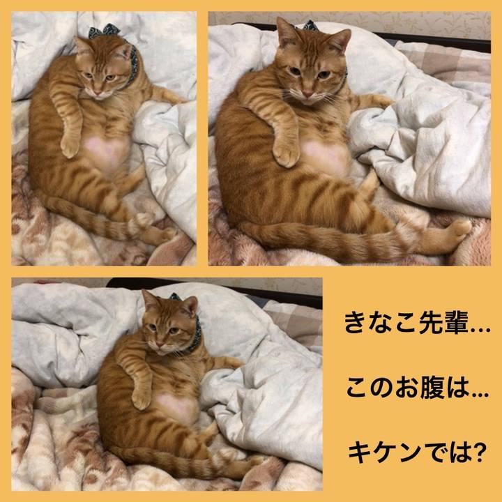 C766a2ee fd2e 425b 9250 08c3c3bc21cc 1576410005997