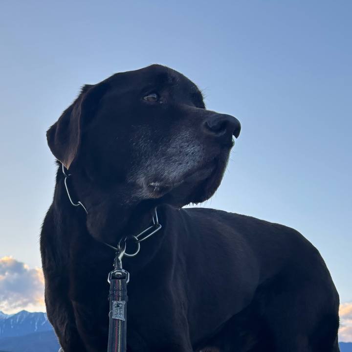 C766d70a 1046 4613 82f6 658217462054 1774184436101