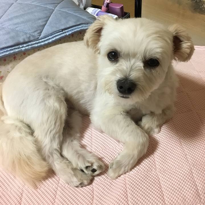 C7672000 3636 4c29 a86a e921753025bc 1531305450085