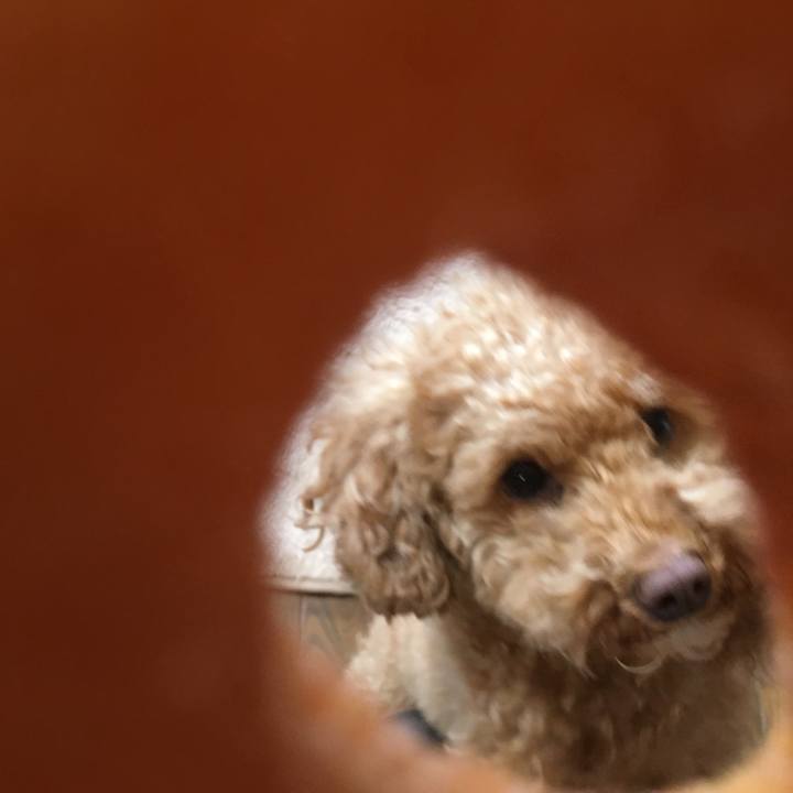 C7672409 ddf6 4967 aa2b 9c15a19a8129 1525913726666