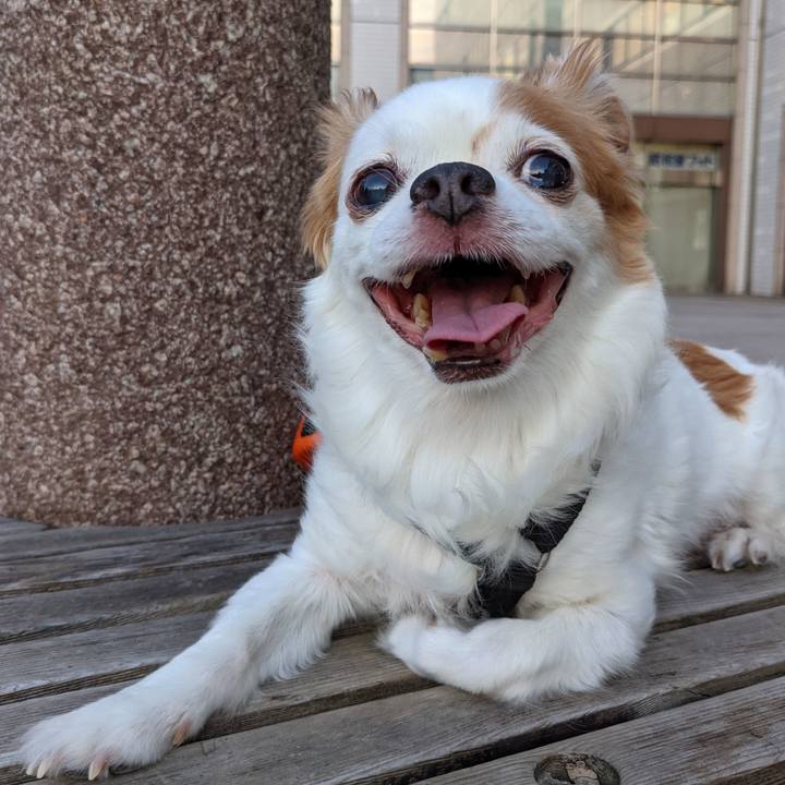 C76725cc 11fd 4547 a690 974bfb8d8535 1627119740467