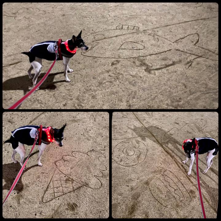 C7675962 edec 4946 b871 d913b346a85d 1580211039871