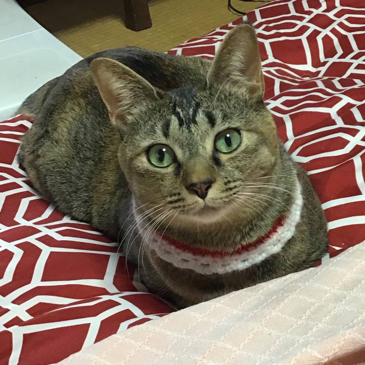 C7677c0f c563 4a8b 955b 500117268ee3 1609914384810