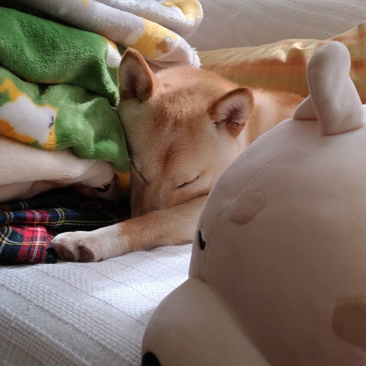 C7678064 b47c 4065 81c8 726ac24453a8 1521339922350